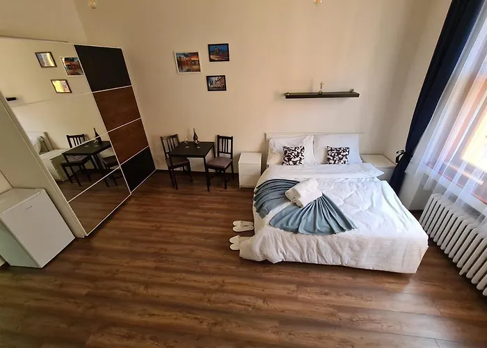 Světlý prostorný byt v Karlíně