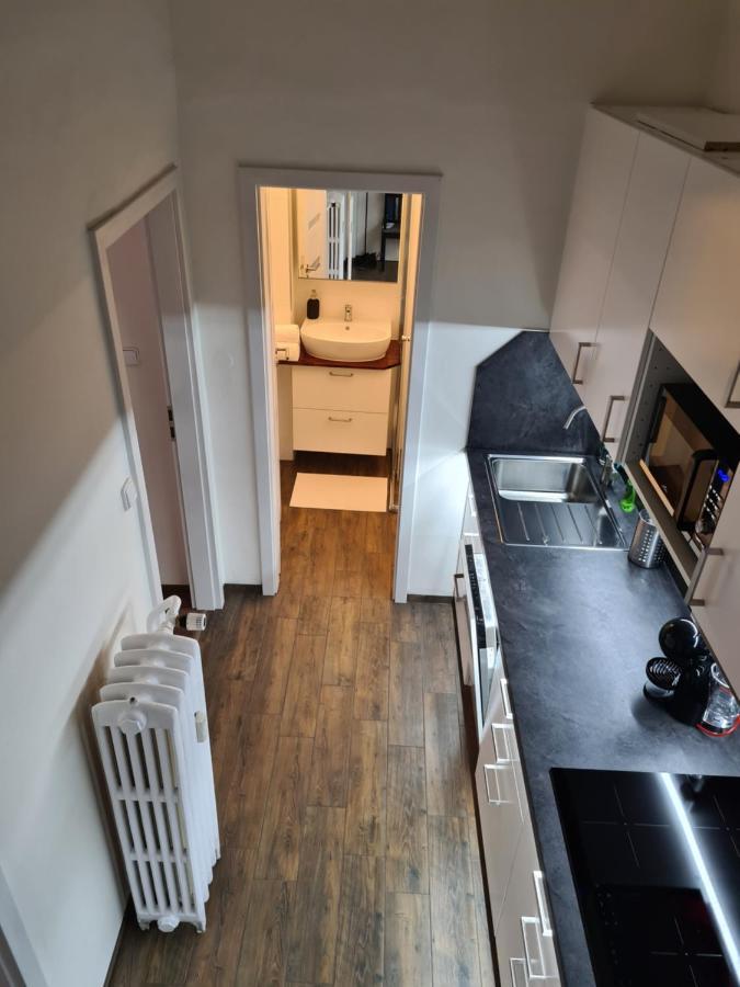 Světlý Prostorný Byt V Karlíně Apartmán Praha